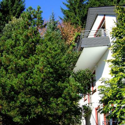 Ferienwohnung Napierski วิลลิงเงิน ภายนอก รูปภาพ